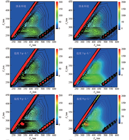高 盐废水MBR水处理工艺
