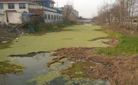 农村生活污水处理