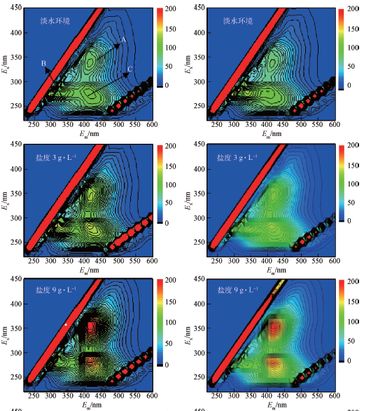 高 盐废水MBR水处理工艺